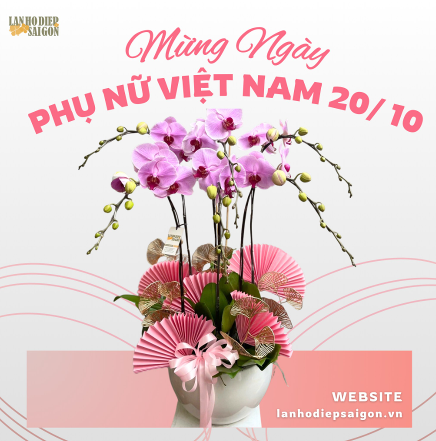 ý nghĩa lan tặng mẹ