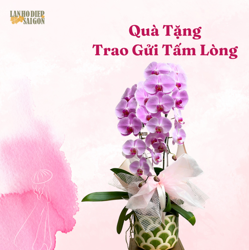 lan hồ điệp tặng doanh nghiệp 2