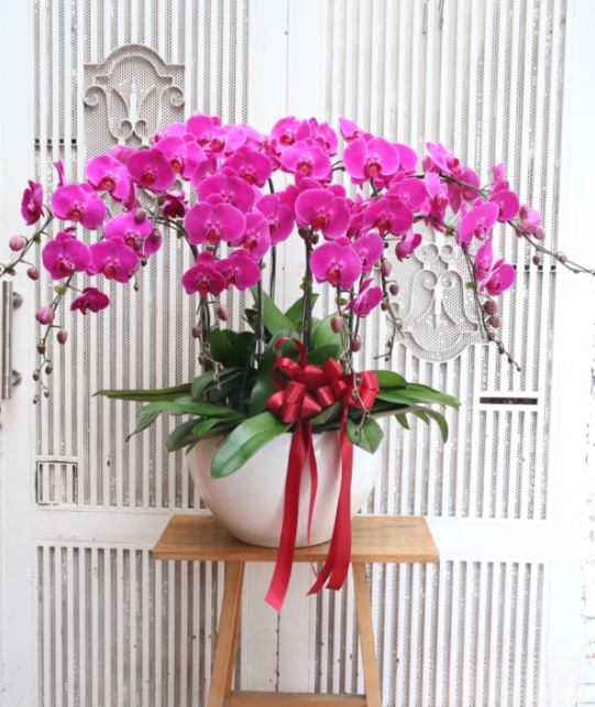 nen chon lan tang tan gia 1