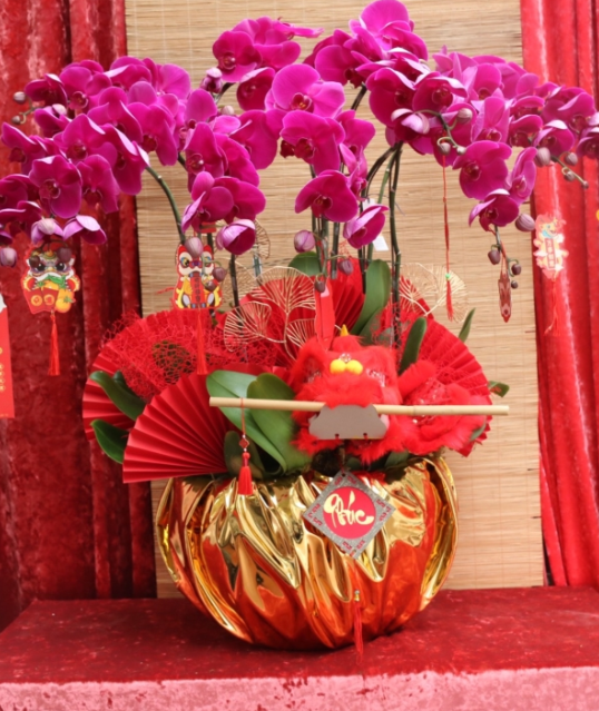 nen chon lan tang tan gia 2